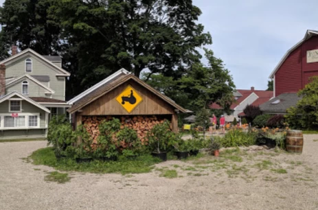 Image of Homestead Farm of Jones Family Farms service in Shelton, Connecticut, United States