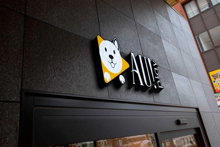 Image of AU! Play service in Venda Nova, Southeast, Brazil