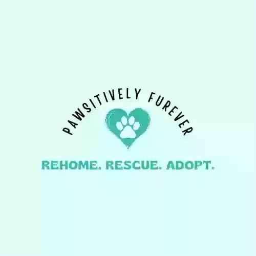 Image of Pawsitively Furever service in East Zorra-Tavistock, Ontario, Canada Image of Pawsitively Furever service in East Zorra-Tavistock, Ontario, Canada