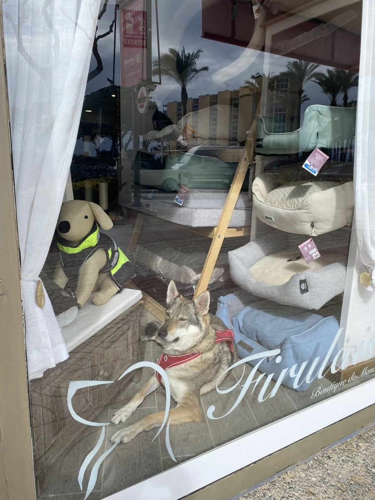Image of Firulais service in Pineda, La, Catalonia, Spain