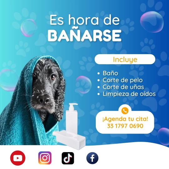 Image of Pets paradise service in Guadalajara, Jalisco, Mexico Image of Pets paradise service in Guadalajara, Jalisco, Mexico