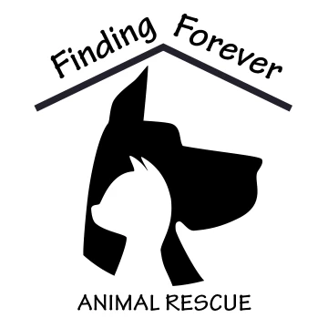 Image of Finding Forever Animal Rescue & Thrift Store service in Marion, Illinois, United States Image of Finding Forever Animal Rescue & Thrift Store service in Marion, Illinois, United States