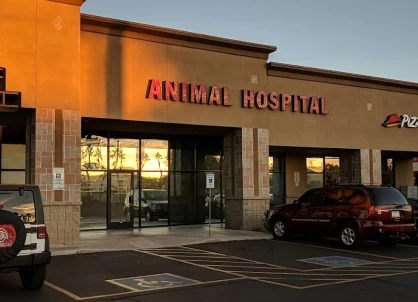 Image of Warner Vista Animal Hospital service in Gilbert, Arizona, United States Image of Warner Vista Animal Hospital service in Gilbert, Arizona, United States