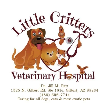 Image of Little Critters Veterinary Hospital service in Gilbert, Arizona, United States Image of Little Critters Veterinary Hospital service in Gilbert, Arizona, United States