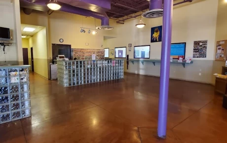 Image of Pete and Mac's Dog Boarding and Training service in Gilbert, Arizona, United States Image of Pete and Mac's Dog Boarding and Training service in Gilbert, Arizona, United States