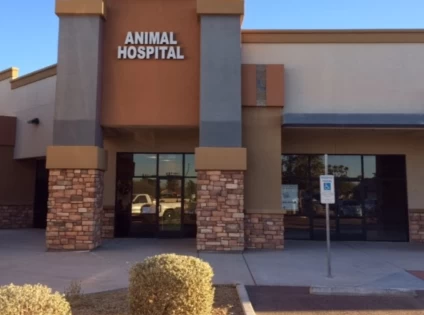 Image of Desert Sky Animal Hospital service in Glendale, Arizona, United States Image of Desert Sky Animal Hospital service in Glendale, Arizona, United States