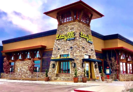 Image of Lazy Dog Restaurant & Bar - Colorado Springs service in Colorado Springs, Colorado, United States