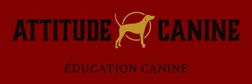 Image of Attitude Canine service in Saint-Hugues, Quebec, Canada