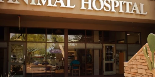 Image of Animal Hospital at Grayhawk service in Scottsdale, Arizona, United States