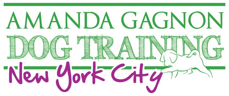 Image of Amanda Gagnon Dog Training -  113th St - New York service in New York, New York, United States Image of Amanda Gagnon Dog Training -  113th St - New York service in New York, New York, United States