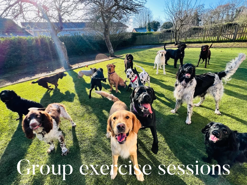 Image of Haleswood pet hotel service in Longdon-upon-Tern, England, United Kingdom Image of Haleswood pet hotel service in Longdon-upon-Tern, England, United Kingdom