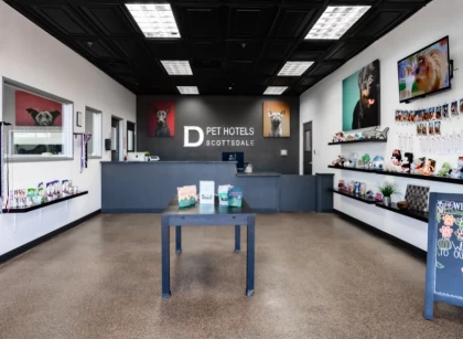Image of D Pet Hotels Scottsdale service in Scottsdale, Arizona, United States Image of D Pet Hotels Scottsdale service in Scottsdale, Arizona, United States