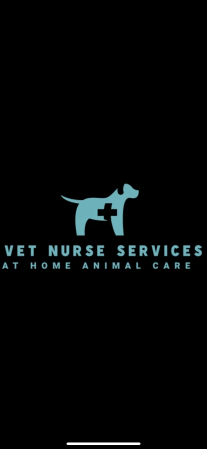 Image of Vet Nurse Services service in Beaconsfield, Tasmania, Australia Image of Vet Nurse Services service in Beaconsfield, Tasmania, Australia