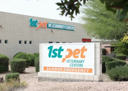 Image of 1st Pet Veterinary Centers - Chandler service in Chandler, Arizona, United States Image of 1st Pet Veterinary Centers - Chandler service in Chandler, Arizona, United States