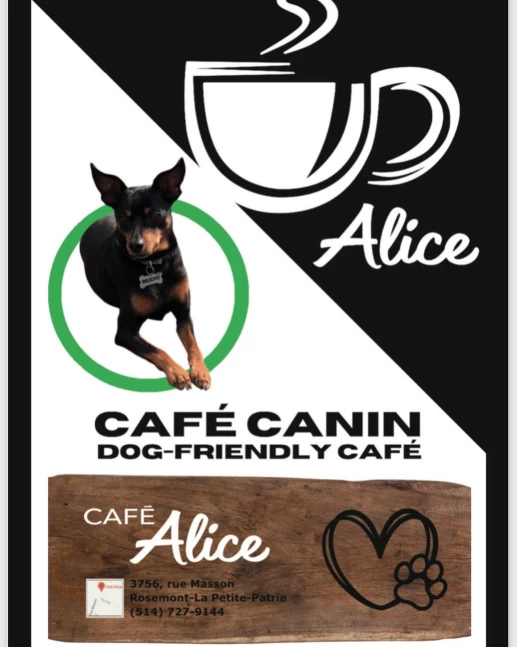 Image of Café Alice service in Montreal, Quebec, Canada Image of Café Alice service in Montreal, Quebec, Canada