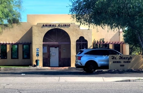 Image of St. Marys Animal Clinic service in Tucson, Arizona, United States Image of St. Marys Animal Clinic service in Tucson, Arizona, United States