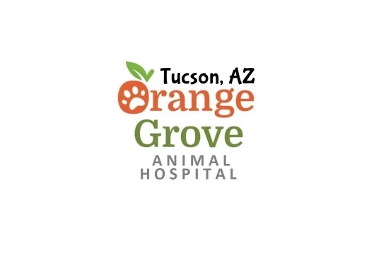 Image of Orange Grove Animal Hospital service in Tucson, Arizona, United States