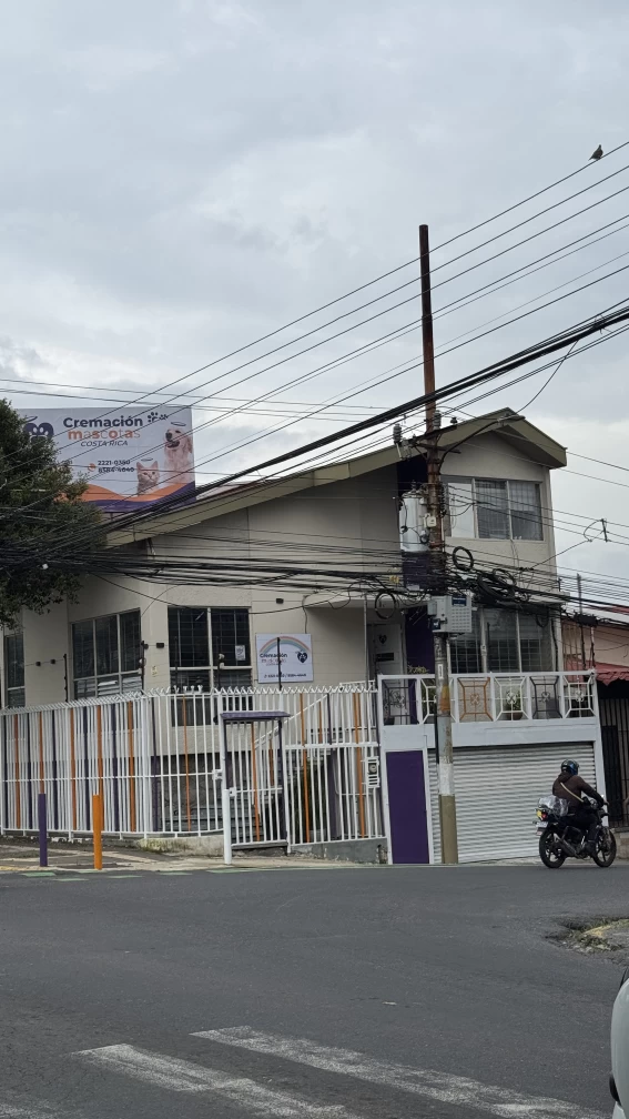 Image of Cremacion De Mascotas service in Merced, San Jose, Costa Rica Image of Cremacion De Mascotas service in Merced, San Jose, Costa Rica