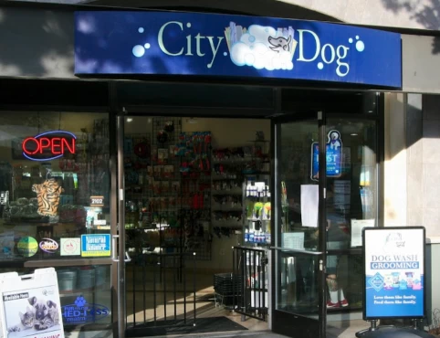 Image of City Dog service in San Diego, California, United States Image of City Dog service in San Diego, California, United States