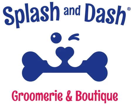 Image of Splash and Dash Groomerie & Boutique - Needham service in Needham, Massachusetts, United States Image of Splash and Dash Groomerie & Boutique - Needham service in Needham, Massachusetts, United States