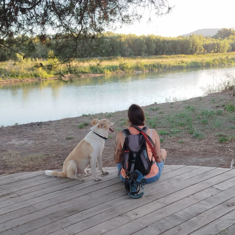 Image of Le Règne Animal 🐺 service in Pertuis, Vaucluse, France