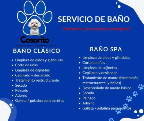 Image of Cosorito - Estética spa y guardería Canina service in Merida, Yucatan, Mexico Image of Cosorito - Estética spa y guardería Canina service in Merida, Yucatan, Mexico