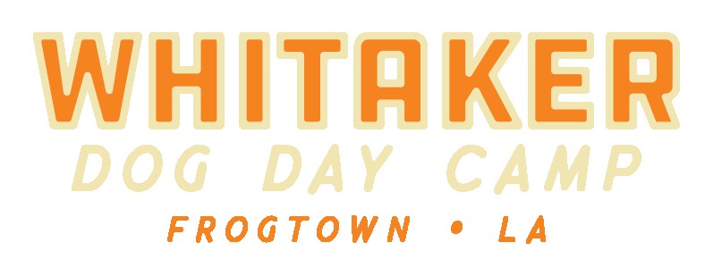 Image of Whitaker Dog Day Camp - Dog Daycare and Boarding service in Los Angeles, California, United States Image of Whitaker Dog Day Camp - Dog Daycare and Boarding service in Los Angeles, California, United States