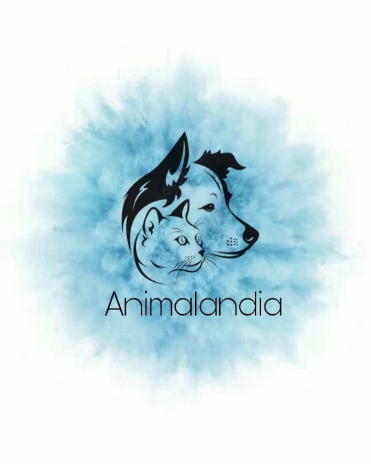 Image of Animalandia Pet Shop service in Sagunto, Valencian Community, Spain