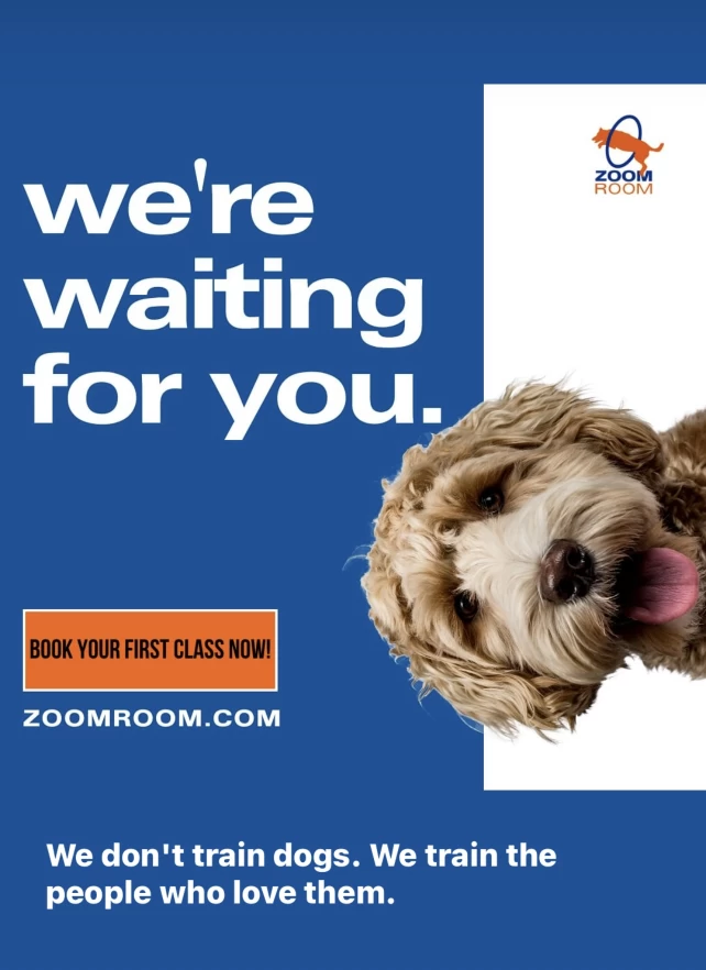 Image of Zoom Room Sandy Springs service in Atlanta, Georgia, United States Image of Zoom Room Sandy Springs service in Atlanta, Georgia, United States