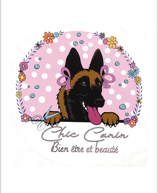 Image of Chic Canin service in Rennes, Ille-et-Vilaine, France Image of Chic Canin service in Rennes, Ille-et-Vilaine, France
