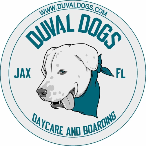 Image of Duval Dogs Daycare and Boarding service in Jacksonville, Alabama, United States Image of Duval Dogs Daycare and Boarding service in Jacksonville, Alabama, United States