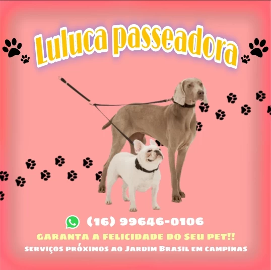 Image of Luluca passeadora de cães service in Campinas, Sao Paulo, Brazil