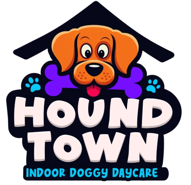 Image of Hound Town Doggy Daycare Dunedin service in Dunedin, Otago, New Zealand Image of Hound Town Doggy Daycare Dunedin service in Dunedin, Otago, New Zealand
