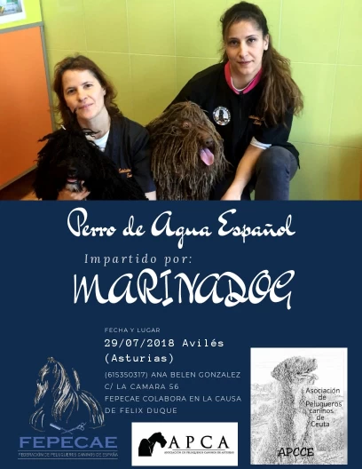 Image of Marina Dog Peluquería Canina service in Ceuta, Ceuta, Spain