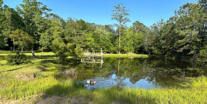 Image of PET Silsbee Dog Park service in Silsbee, Texas, United States Image of PET Silsbee Dog Park service in Silsbee, Texas, United States