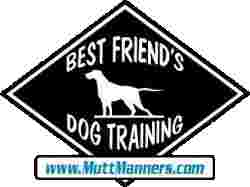 Image of Best Friend's Dog Training - Melville service in Melville, New York, United States
