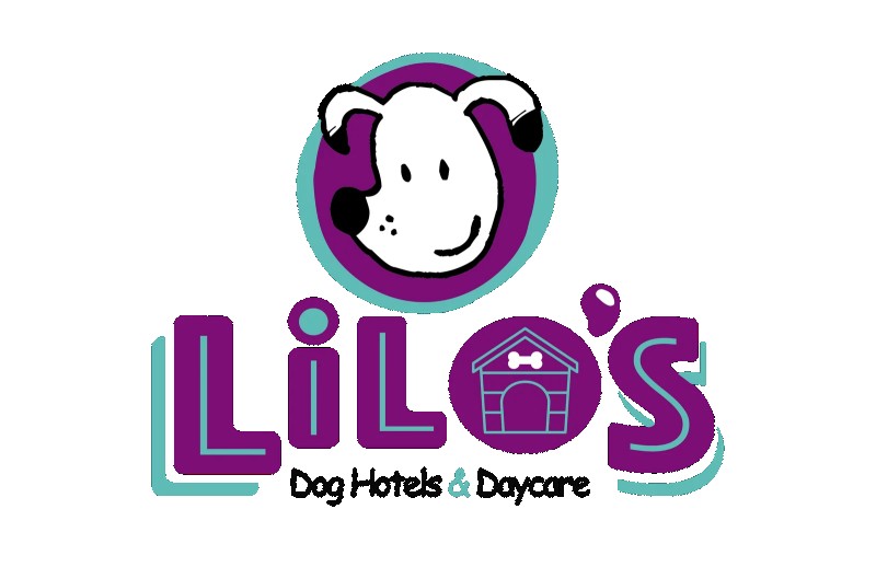 Image of Lilo’s Dog Hotels & Daycare service in Doral, Florida, United States