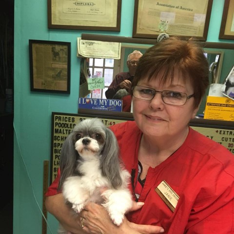 Image of Janie’s Dog Grooming service in Gulfport, Florida, United States Image of Janie’s Dog Grooming service in Gulfport, Florida, United States