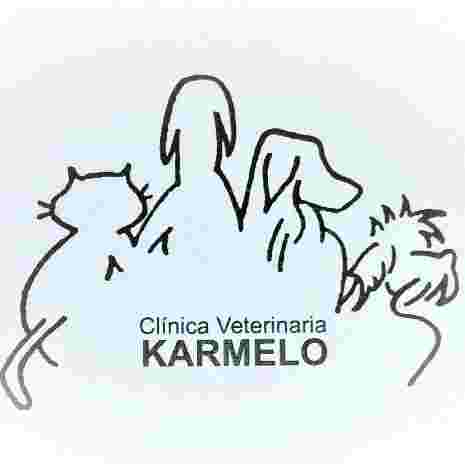 Image of Clínica Veterinaria Karmelo service in Bilbao, Vizcaya, Spain