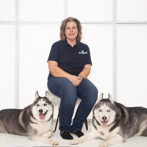 Image of Your dogs 2nd home LLC service in Crown Point, Indiana, United States Image of Your dogs 2nd home LLC service in Crown Point, Indiana, United States