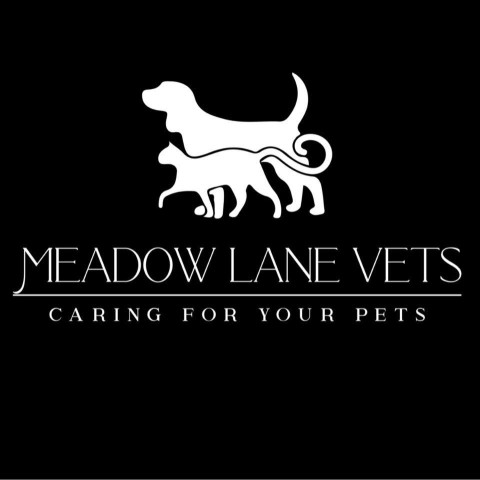 Image of Meadow Lane Vets service in Charnwood, England, United Kingdom