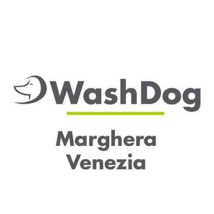 Image of WashDog Marghera di Cristina Zamengo service in Venezia, Veneto, Italy