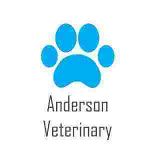Image of Wyncote Animal Hospital service in Philadelphia, Pennsylvania, United States