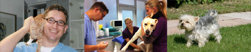 Image of Dr.med.vet. Rasso Mantel veterinarian service in Munchen, Bayern, Germany