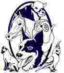 Image of Albany Vet Hospital service in Albany, Western Australia, Australia