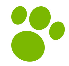 Image of Tiendanimal -Nevada service in Granada, Granada, Spain
