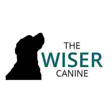Image of The Wiser Canine service in Hamilton, Ontario, Canada Image of The Wiser Canine service in Hamilton, Ontario, Canada