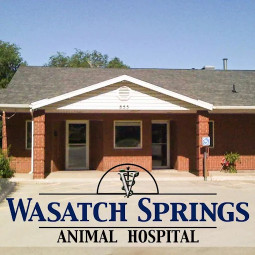 Image of Wasatch Springs Animal Hospital service in Salt Lake City, Utah, United States