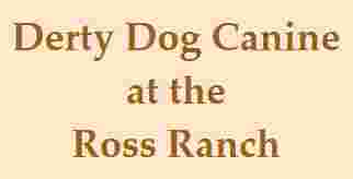 Image of Derty Dog Canine Retreat & Fitness service in Brentwood, California, United States