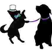 Image of The Muttropolitan Dog Daycare And Boarding service in Tacoma, Washington, United States Image of The Muttropolitan Dog Daycare And Boarding service in Tacoma, Washington, United States